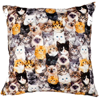 Kussen Kittens