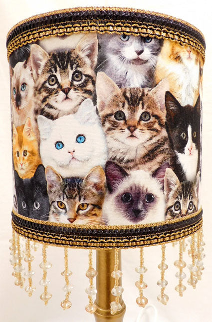 Lamp kittens