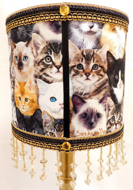 Lamp kittens